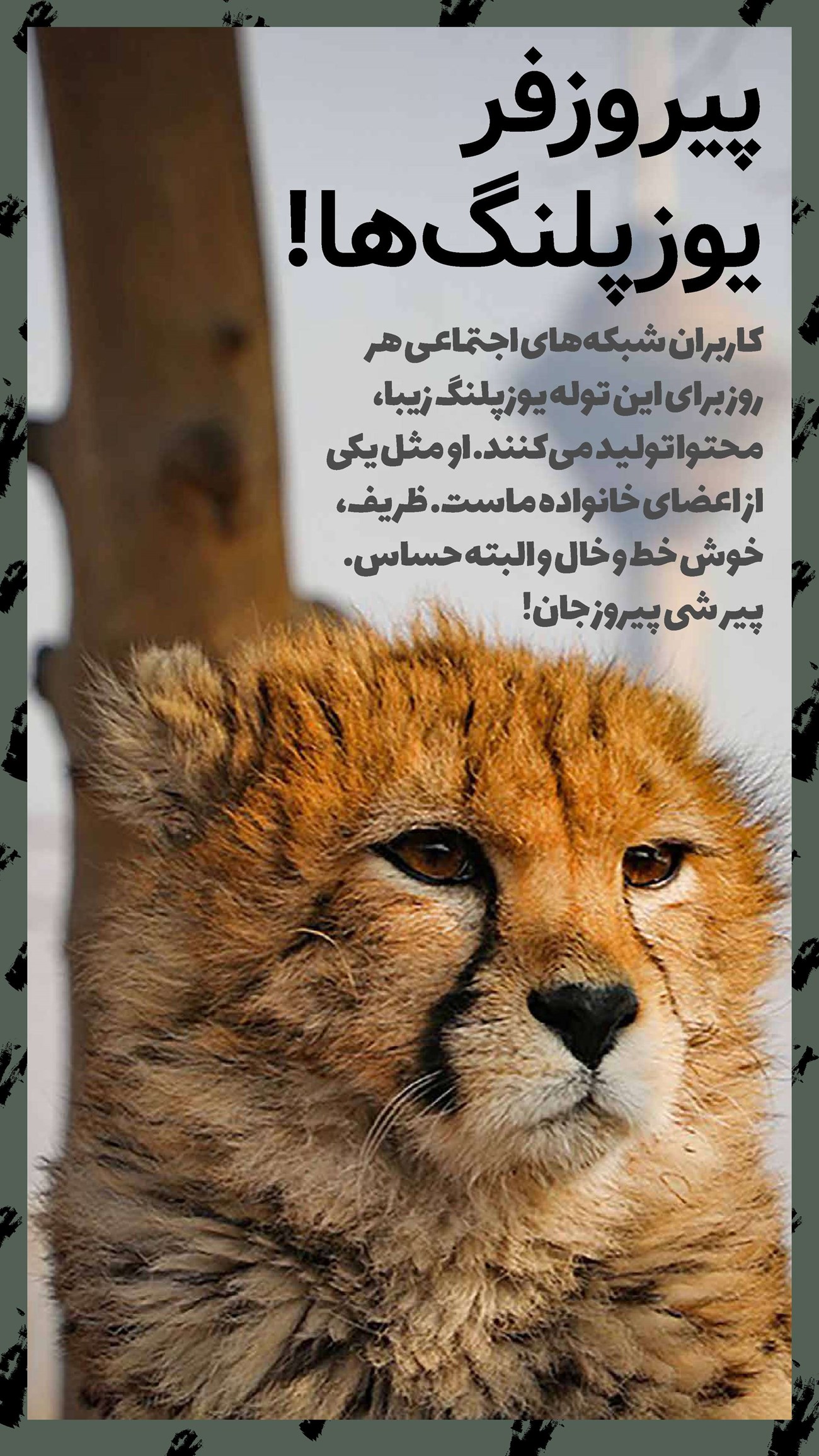 روزنامه تاریخ ۲۸ دی ۱۴۰۱