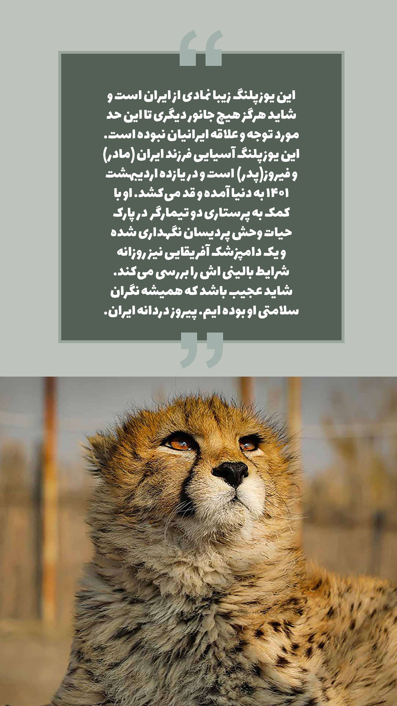 روزنامه تاریخ ۲۸ دی ۱۴۰۱