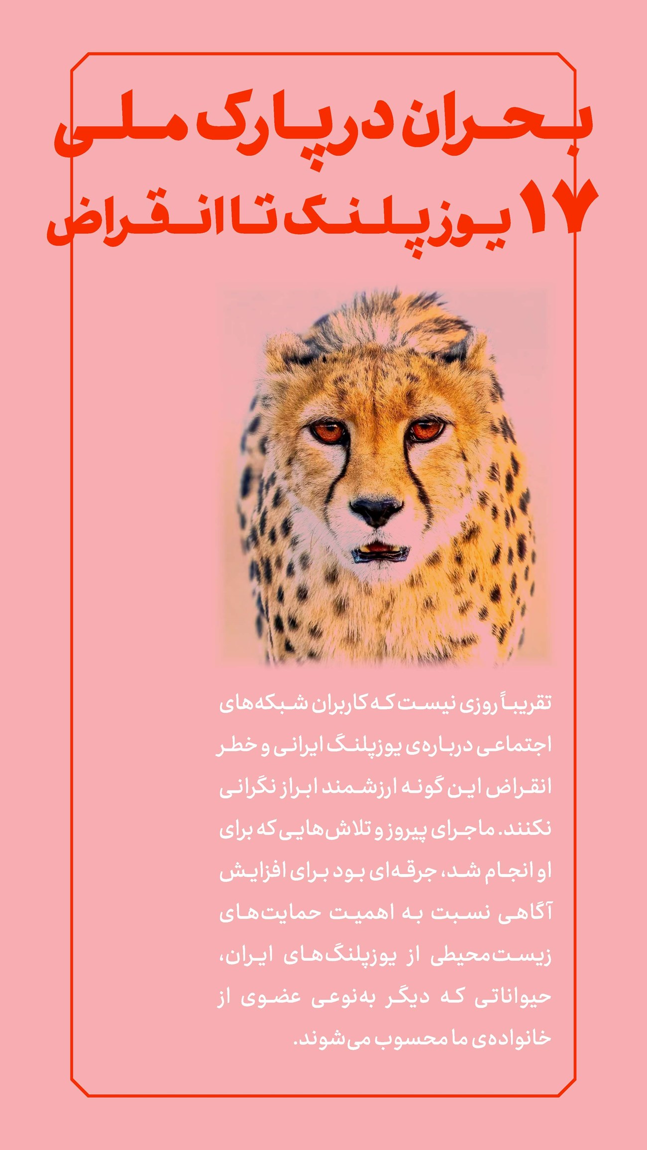 روزنامه تاریخ ۱۶ دی ۱۴۰۳