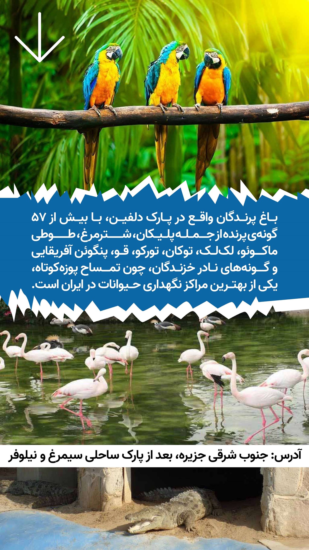روزنامه تاریخ ۱۶ دی ۱۴۰۳
