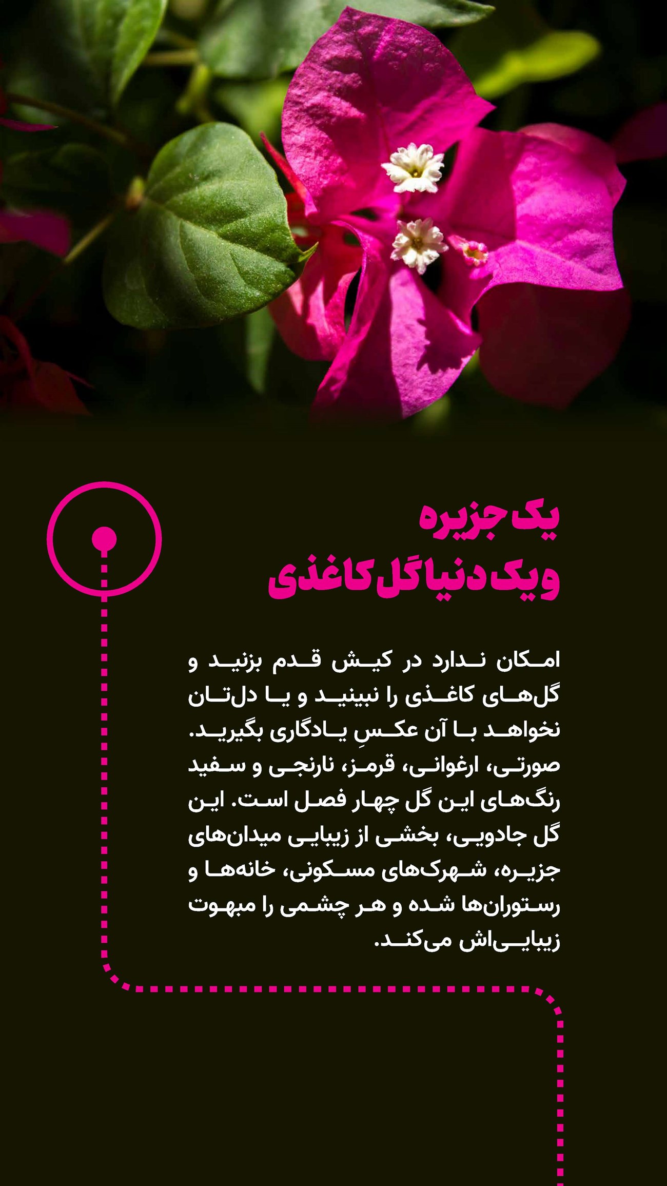 روزنامه تاریخ ۱۶ دی ۱۴۰۳