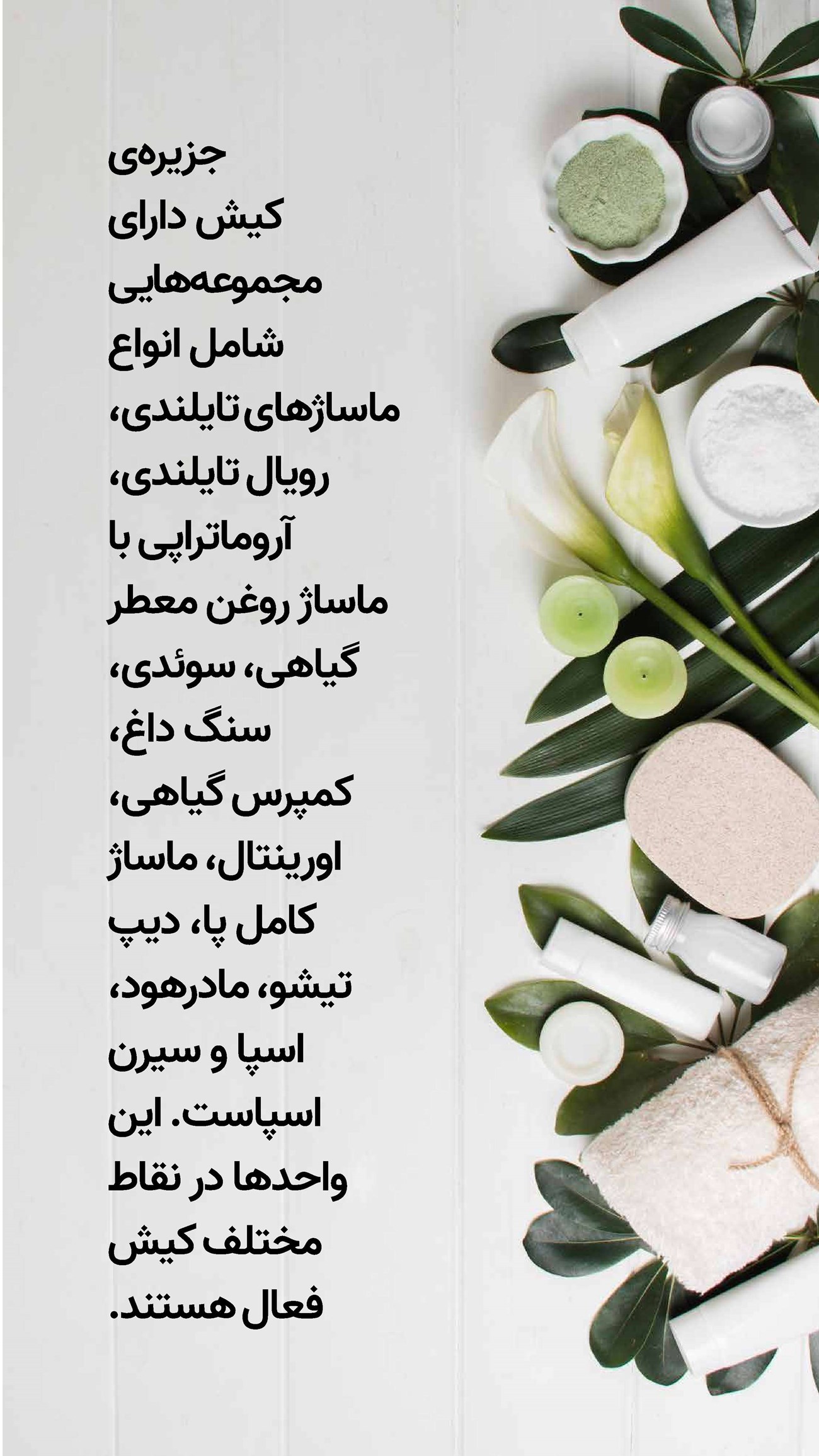 روزنامه تاریخ ۱۶ دی ۱۴۰۳