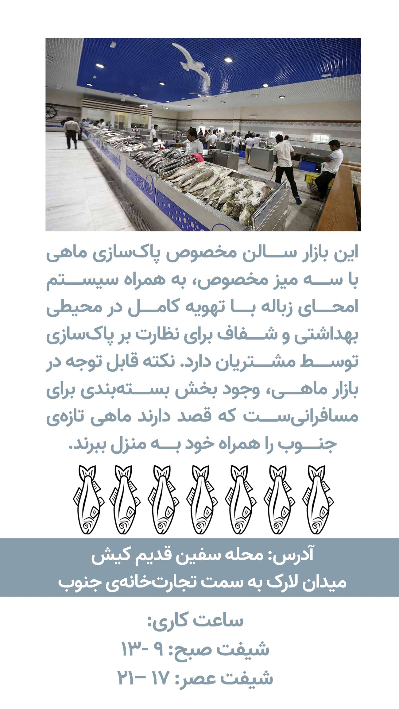 روزنامه تاریخ ۱۶ دی ۱۴۰۳